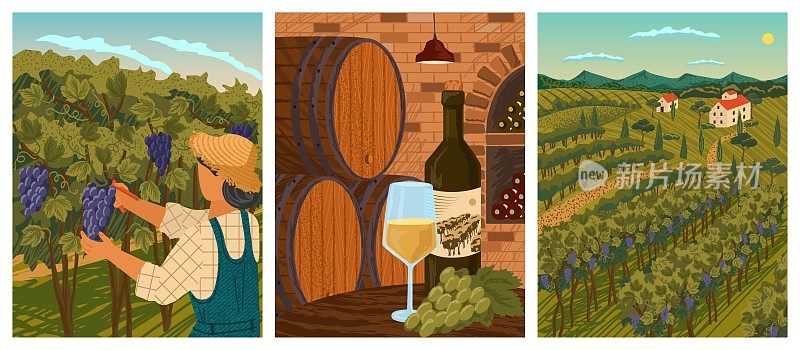 Vineyard landscape and winery field with villa farm house. Hand draw vector illustration poster. Wine wooden barrels in winery cellar. White wine bottle and vine. Man cut vine from grape tree